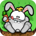 Chubby Bunny HD